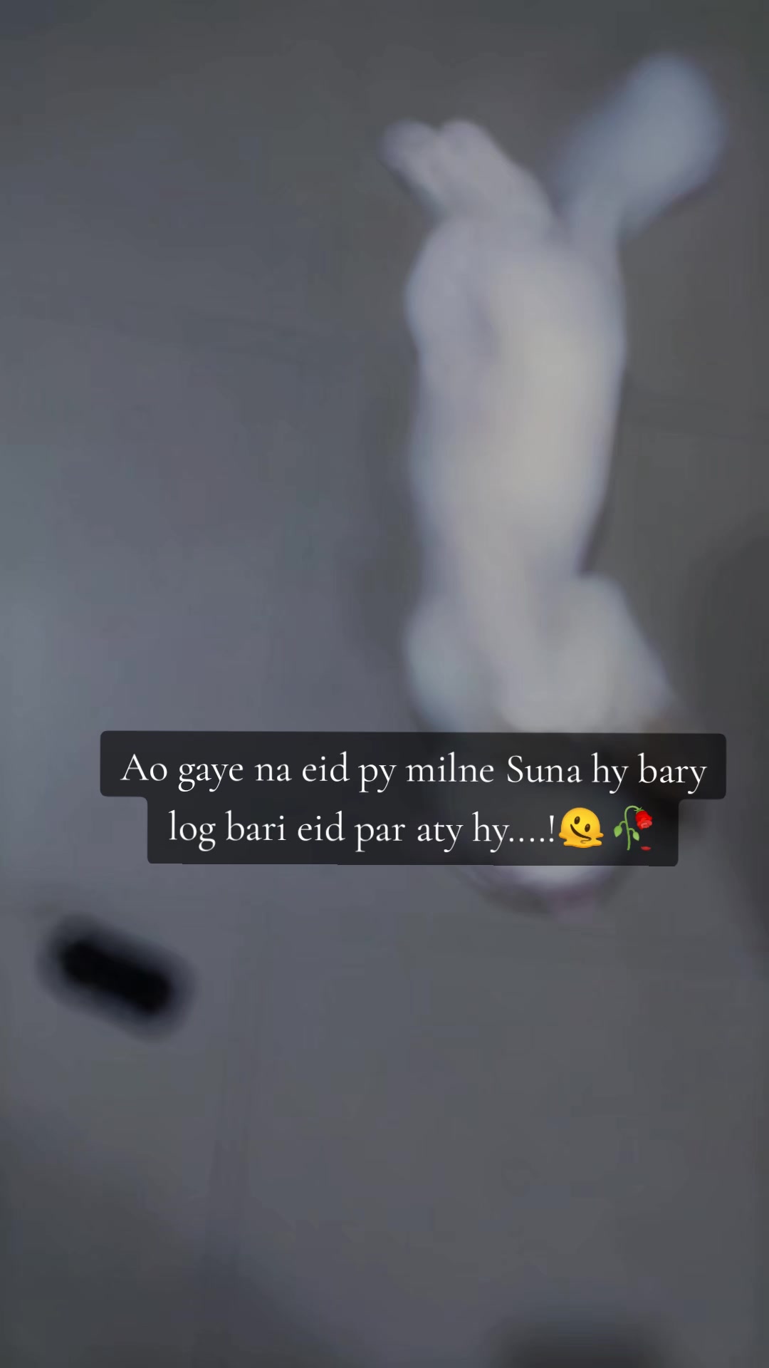 @Beera blogs