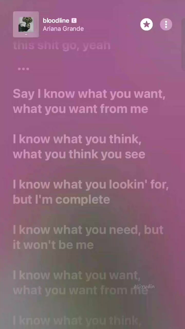 @aliyudin∘ꕤ˚