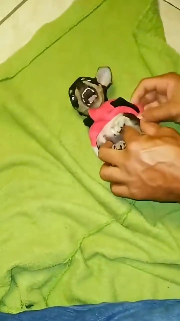 @Engormix