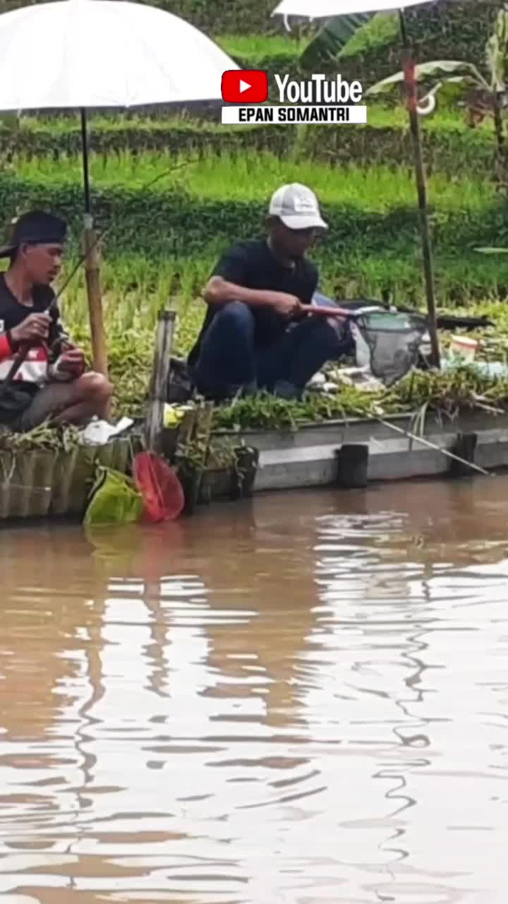 @ipan mancing channel