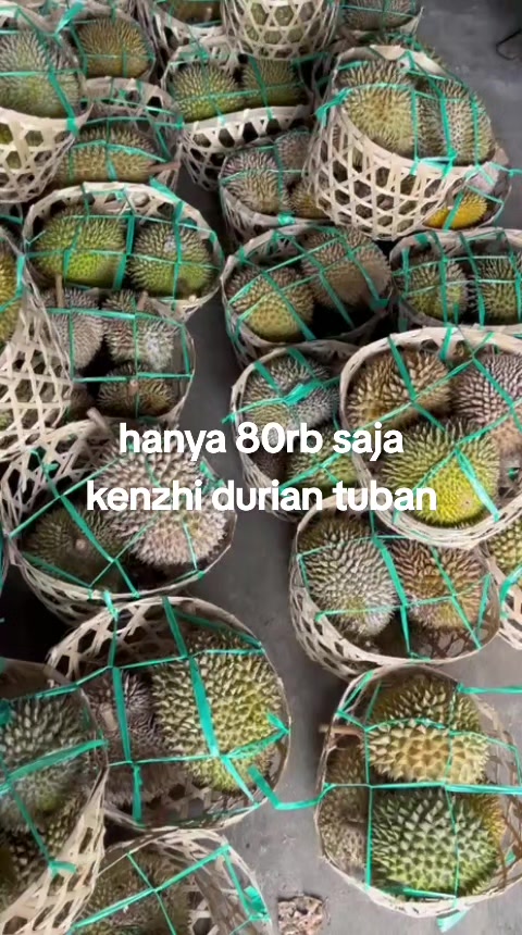 @Kenzhi Durian Tuban