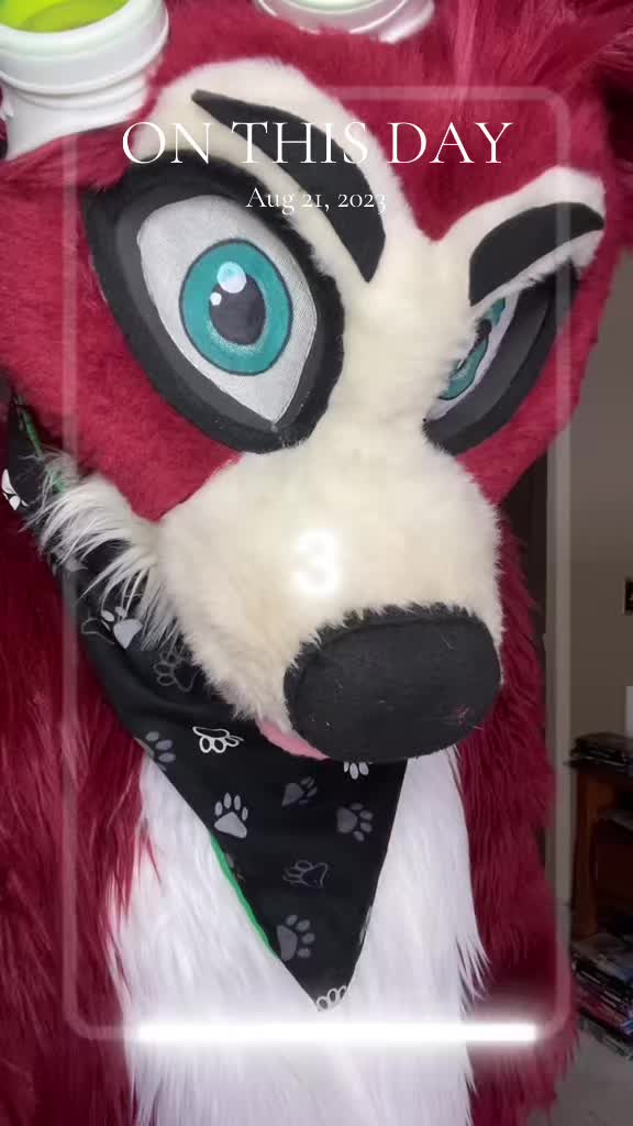 @🦊 Pete The Fox 🦊