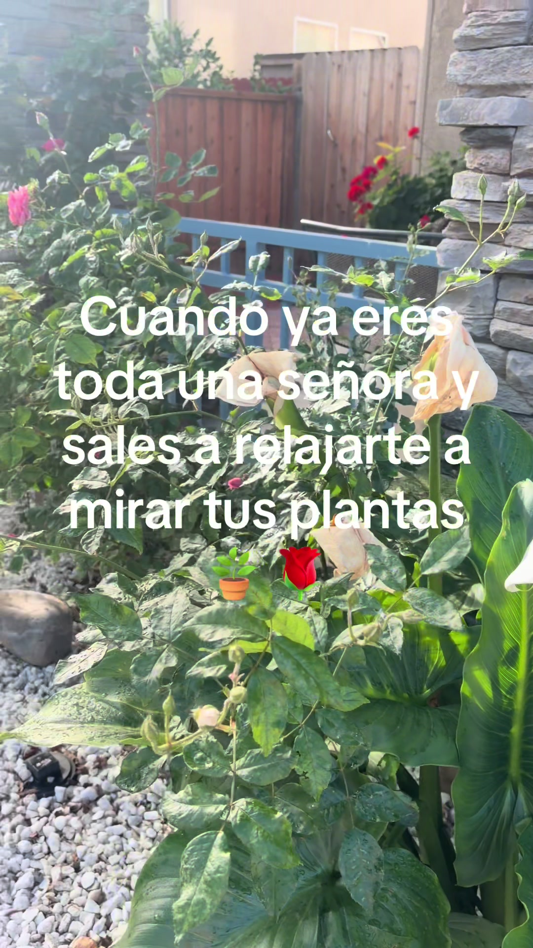 @Lupita Serrano 🌹