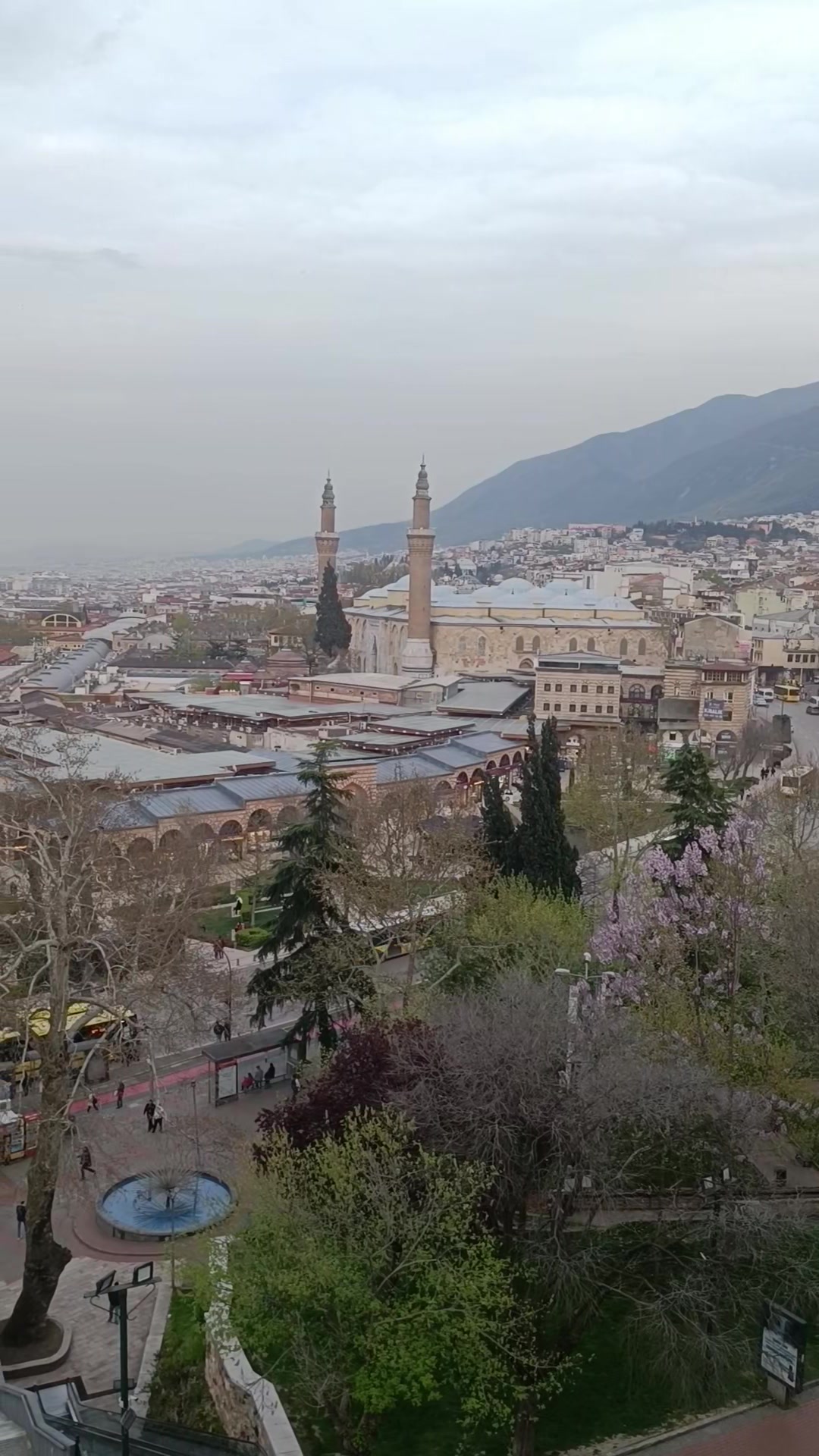 @Sarı