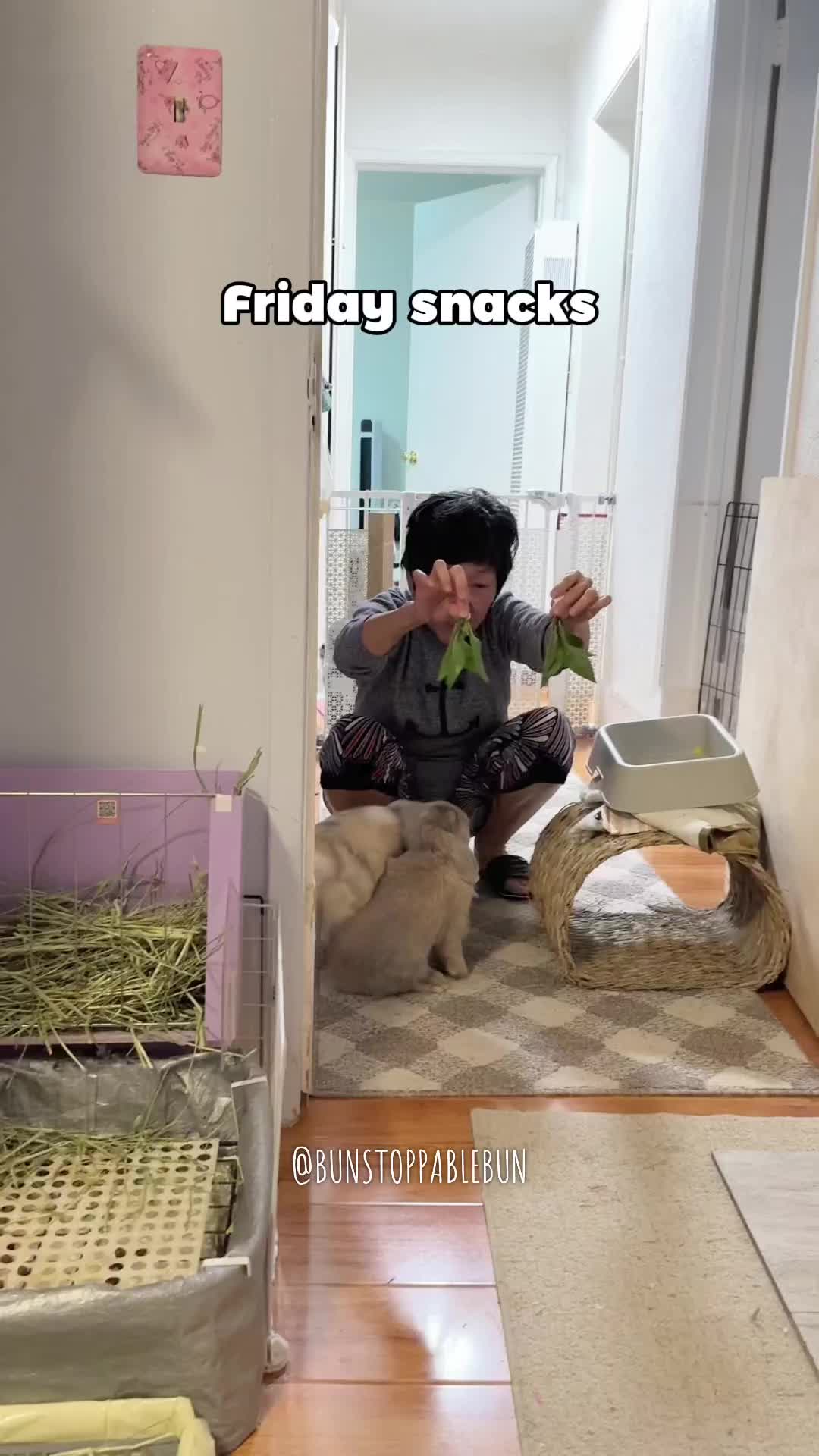 @BunBun, Mochi🌈, Chewy