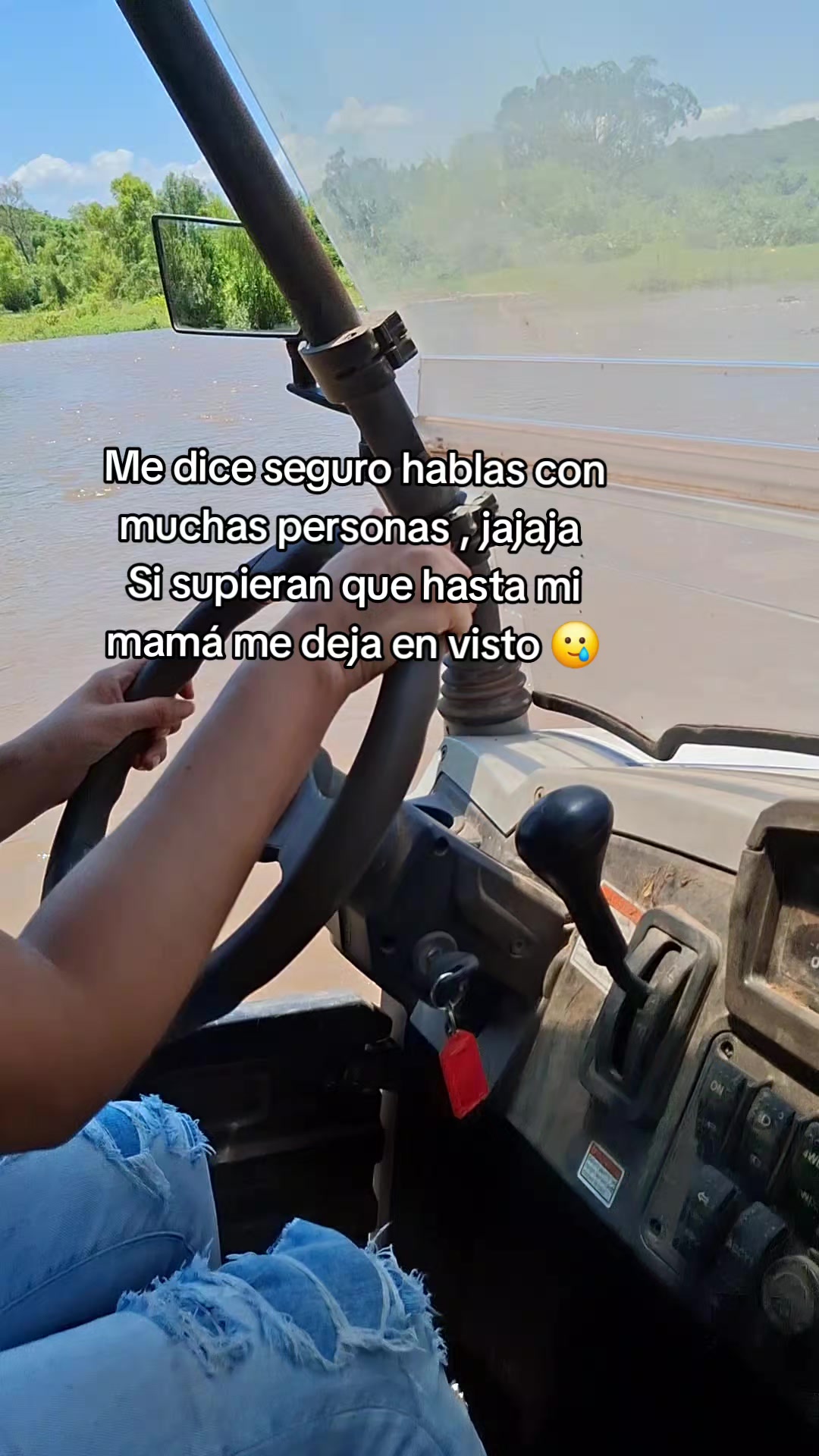 @Luz Llamas