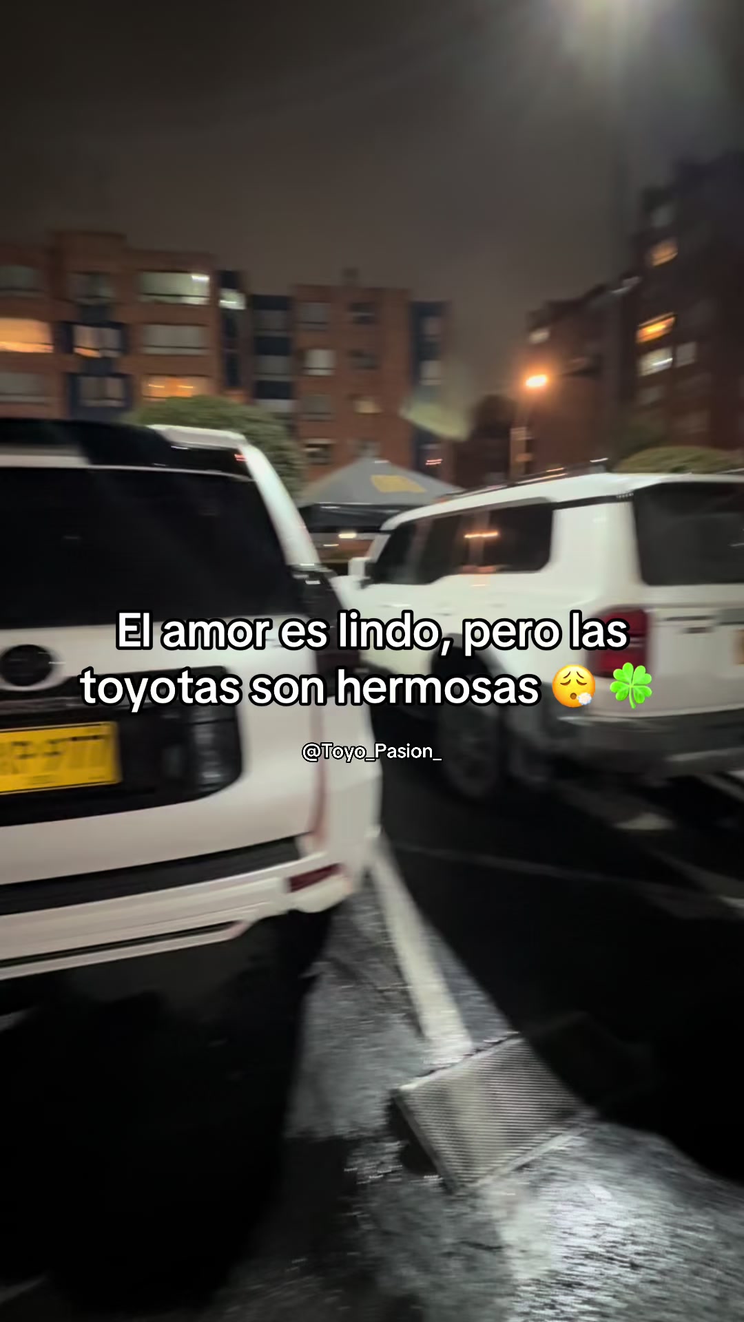 @toyo_pasion_