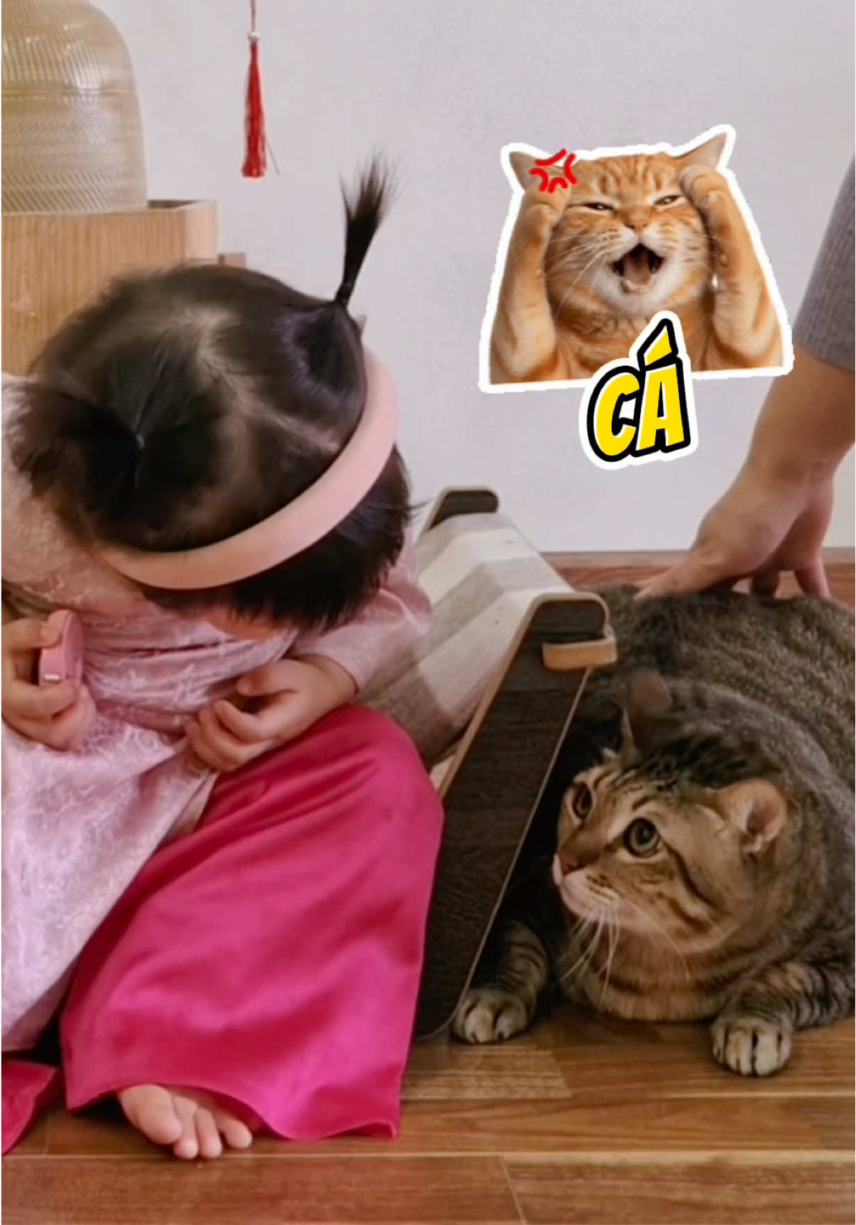 @Gia Đình Cá Cua