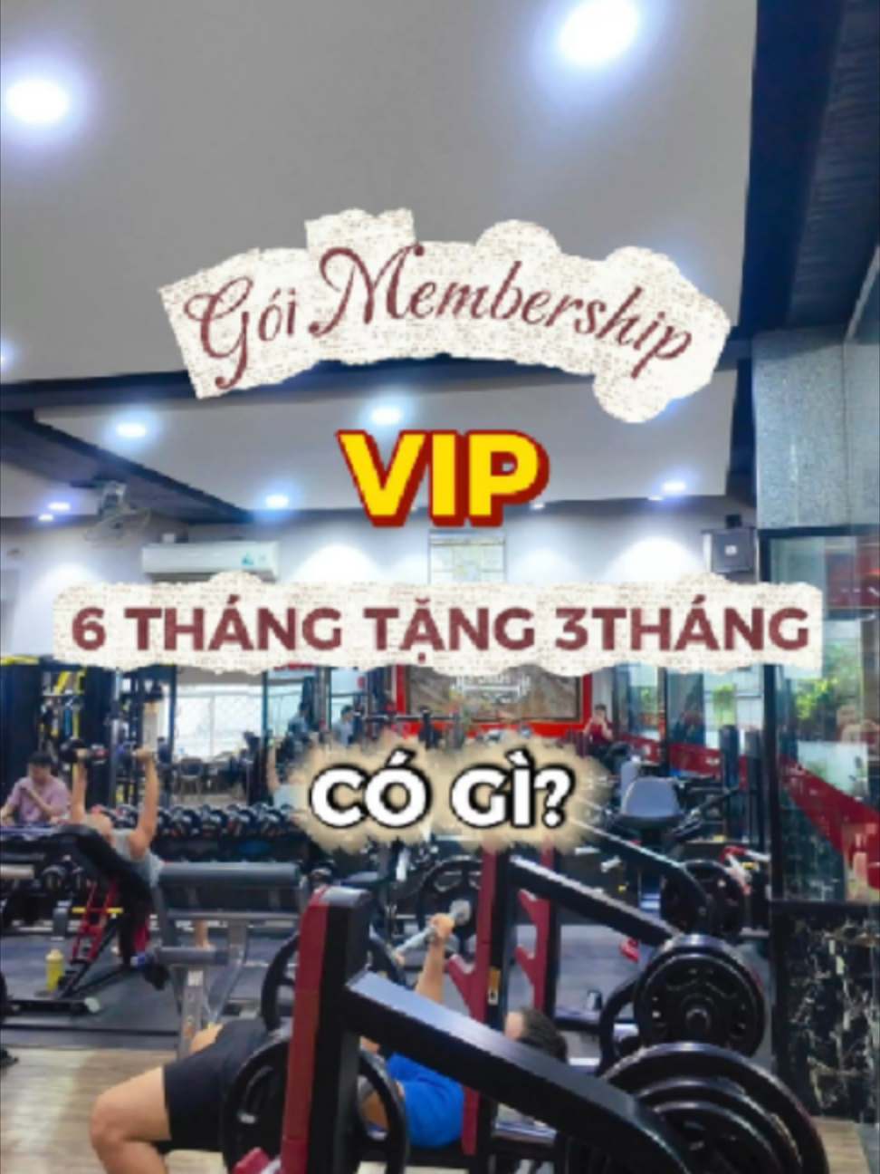 @Dung's Gym