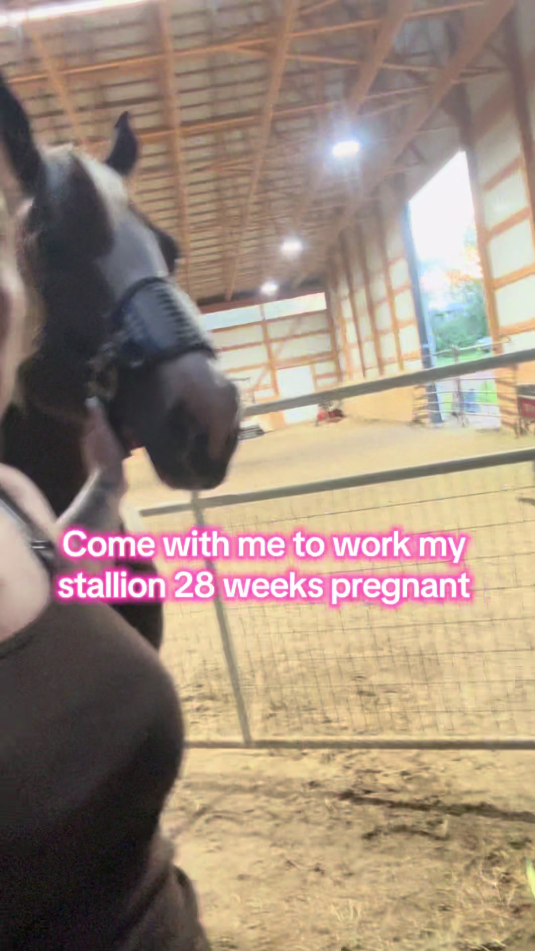 @Living Lucky Quarter Horses