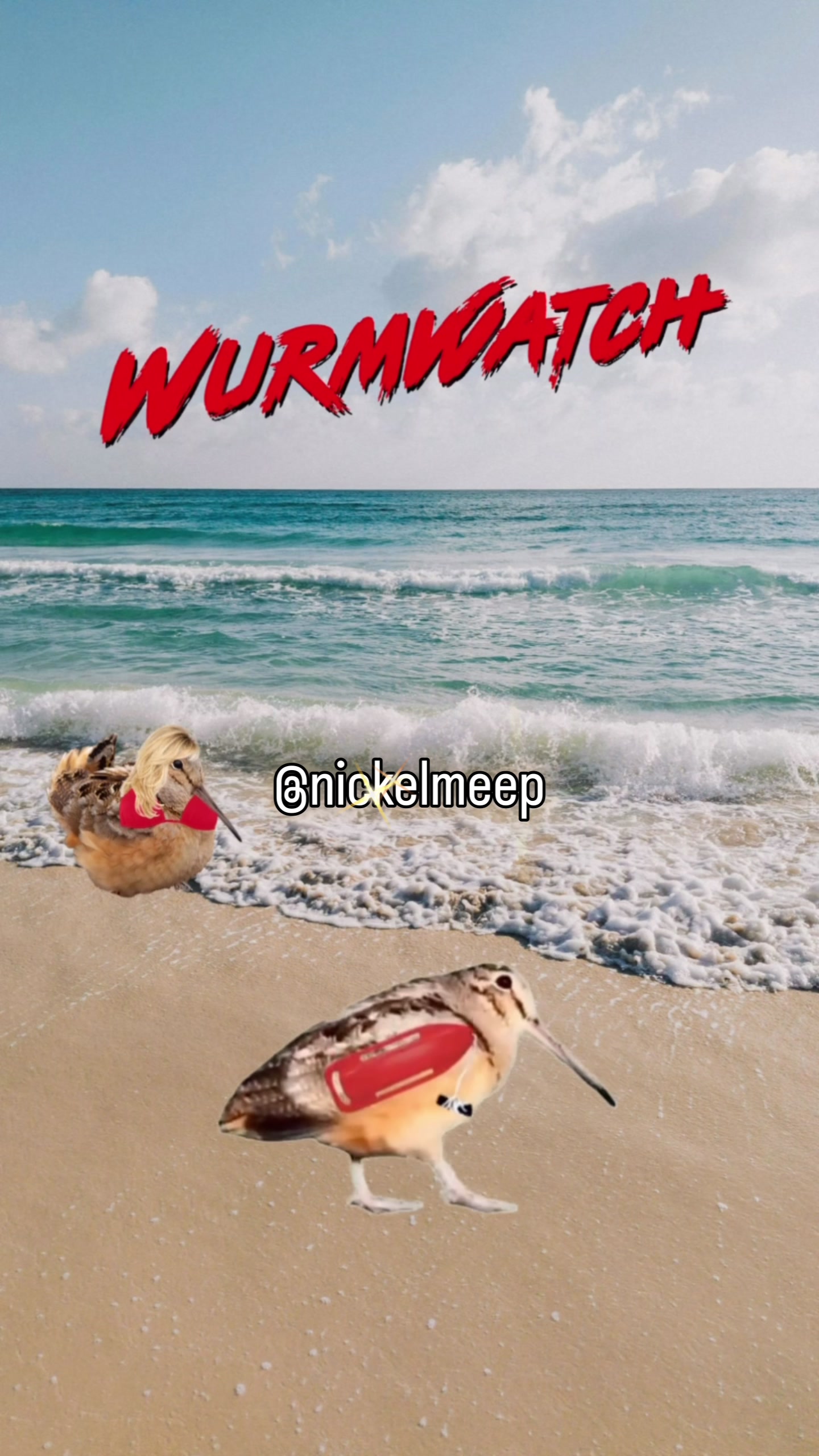 @nickelmeep