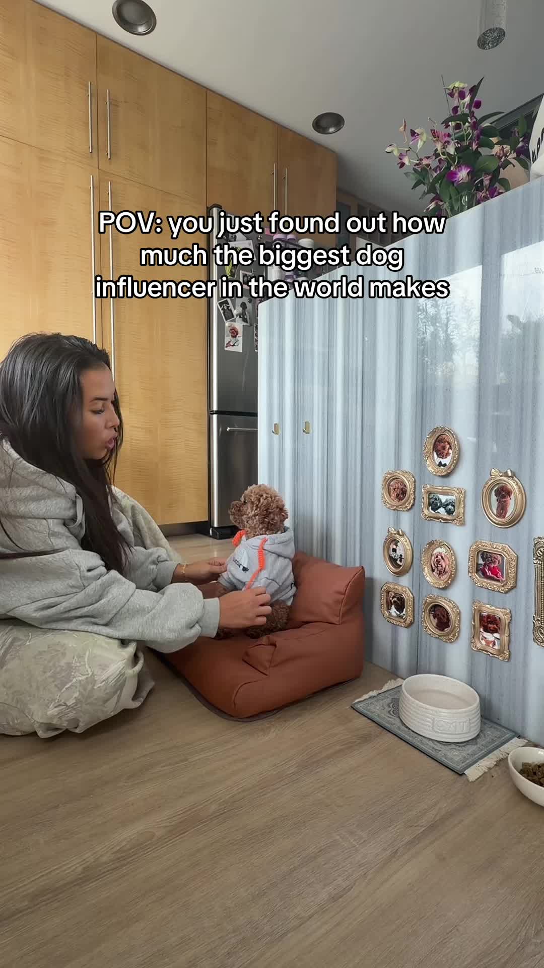 @enzoprincethepup