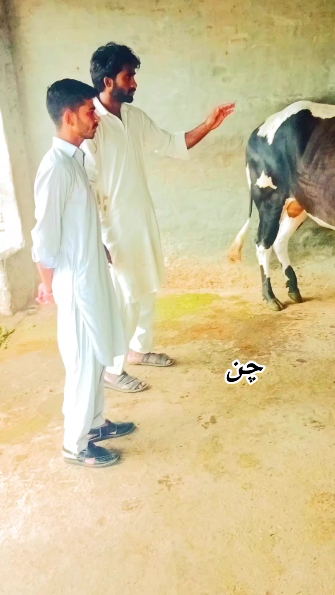 @Ahsan malik