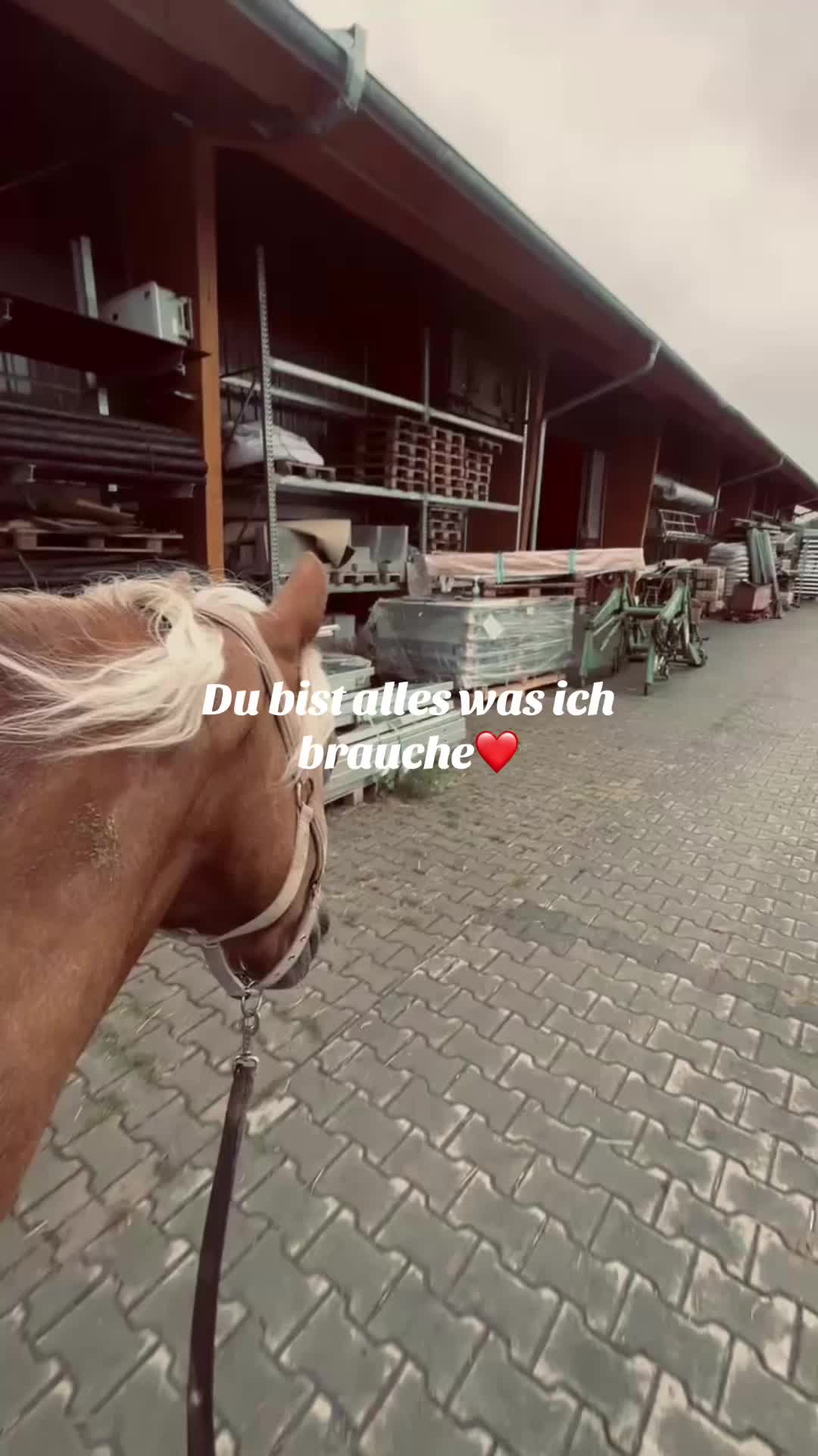 @Ac.Nayla