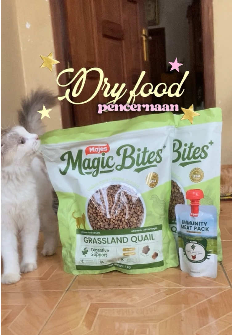 @kucingnyalingga🍉