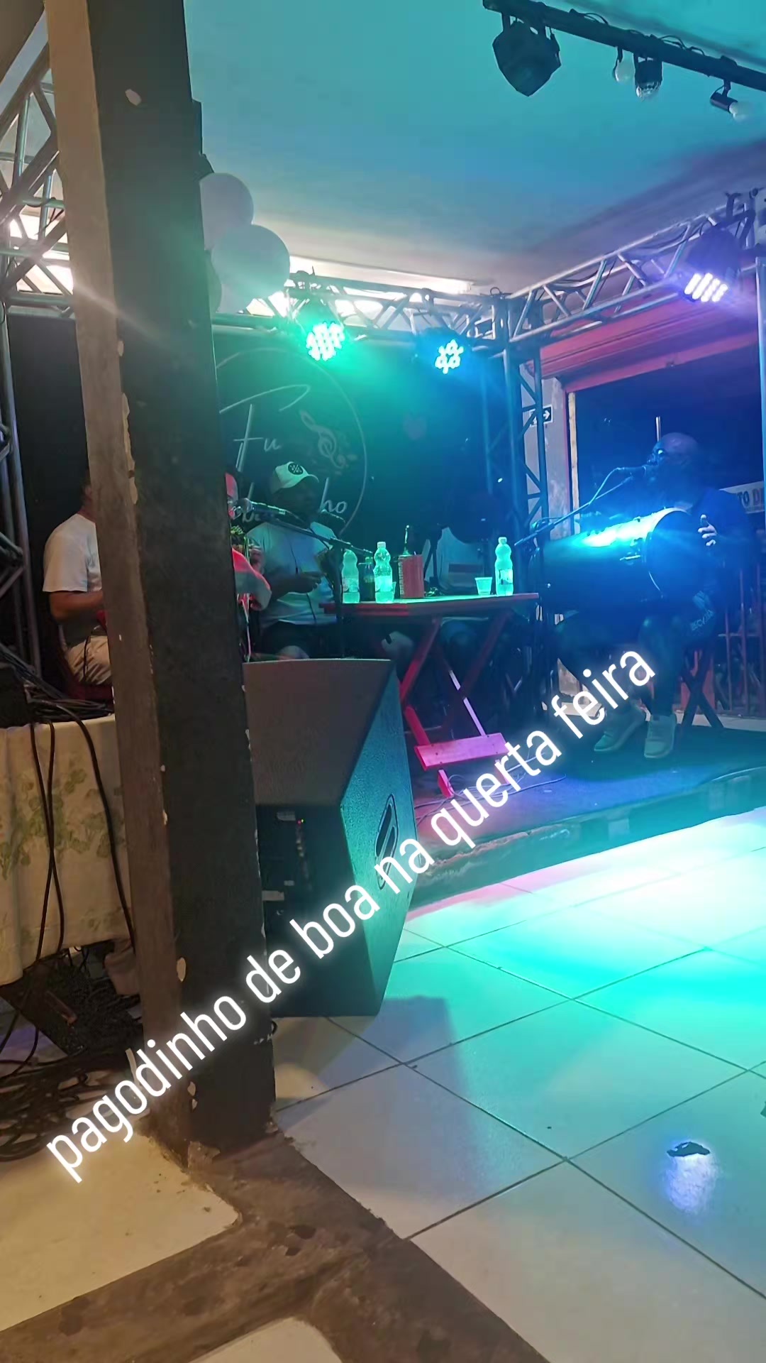 @celiapereira9823