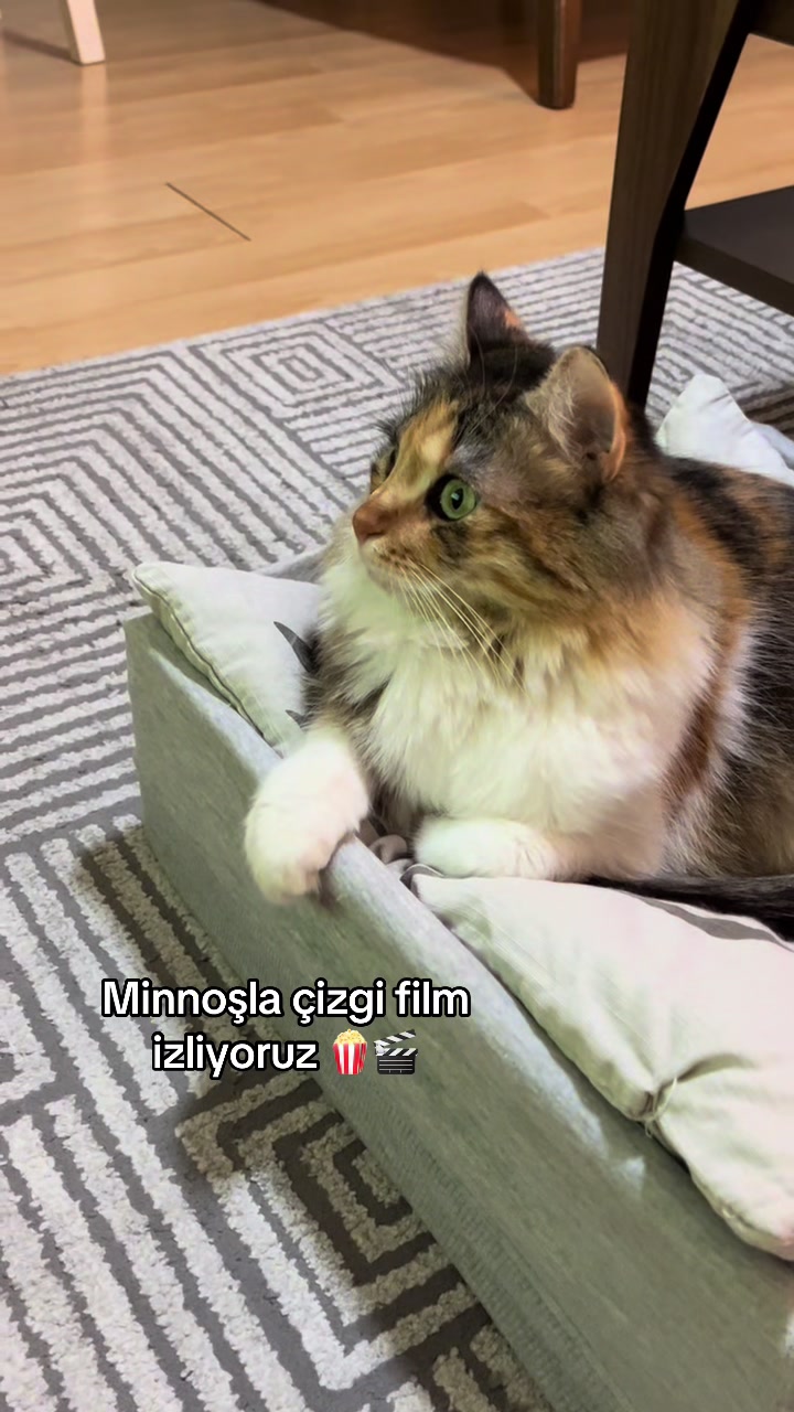 @konusankediminnos