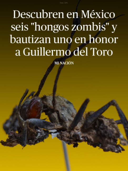 @DiariodeMéxico