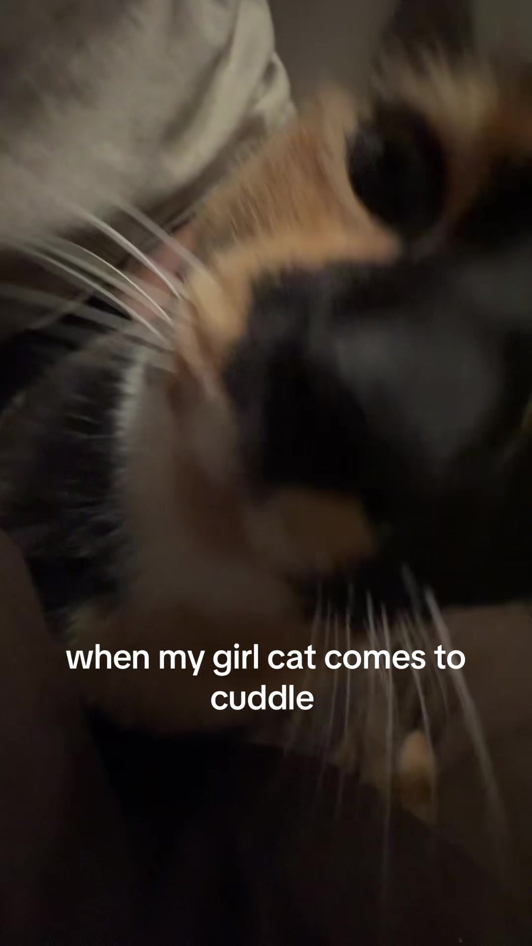 @shyra