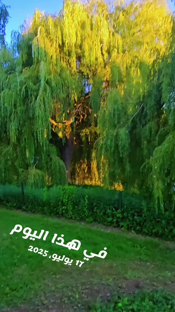 @َََ