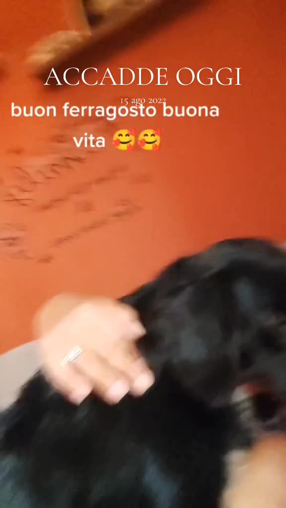 @la famiglia con i cani 🐾🥰