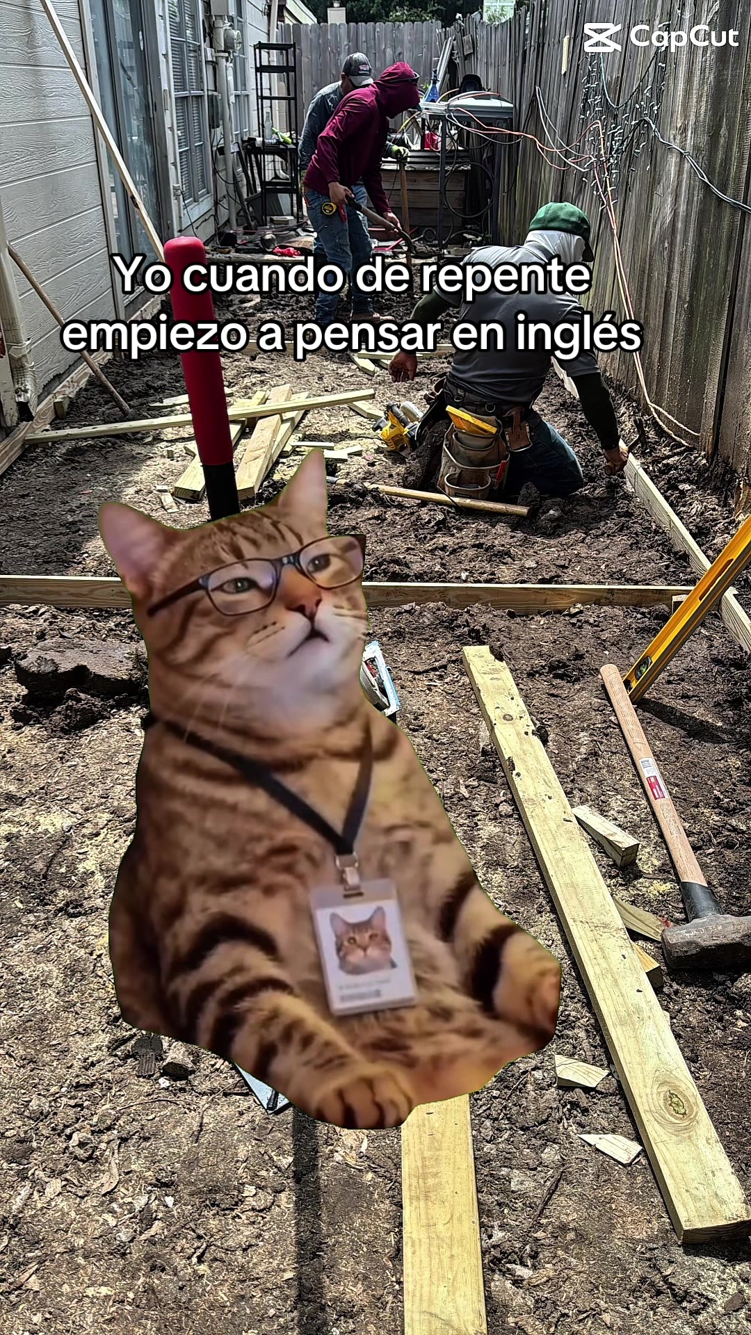 @Ever lares