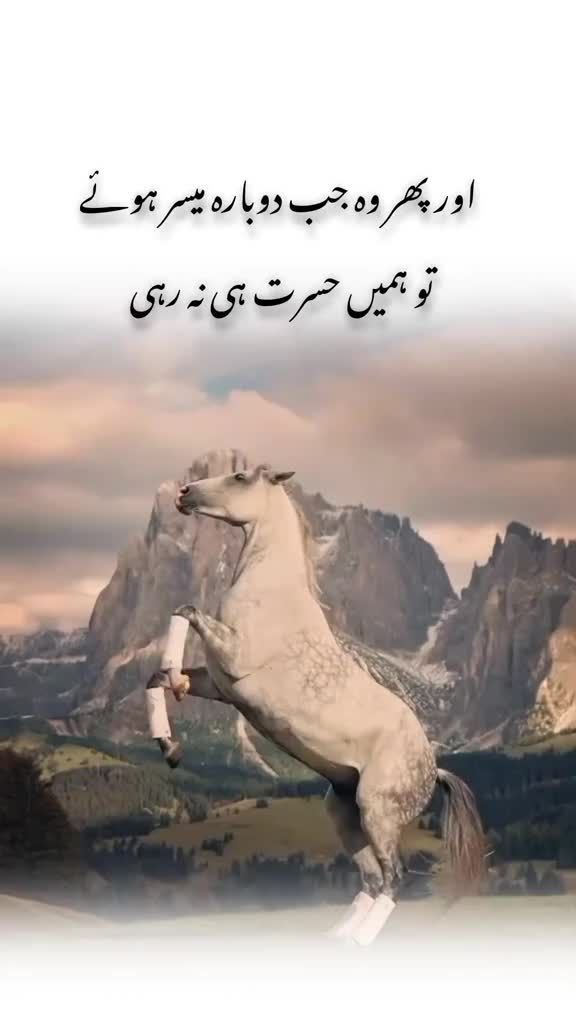 @Zubair Sahu