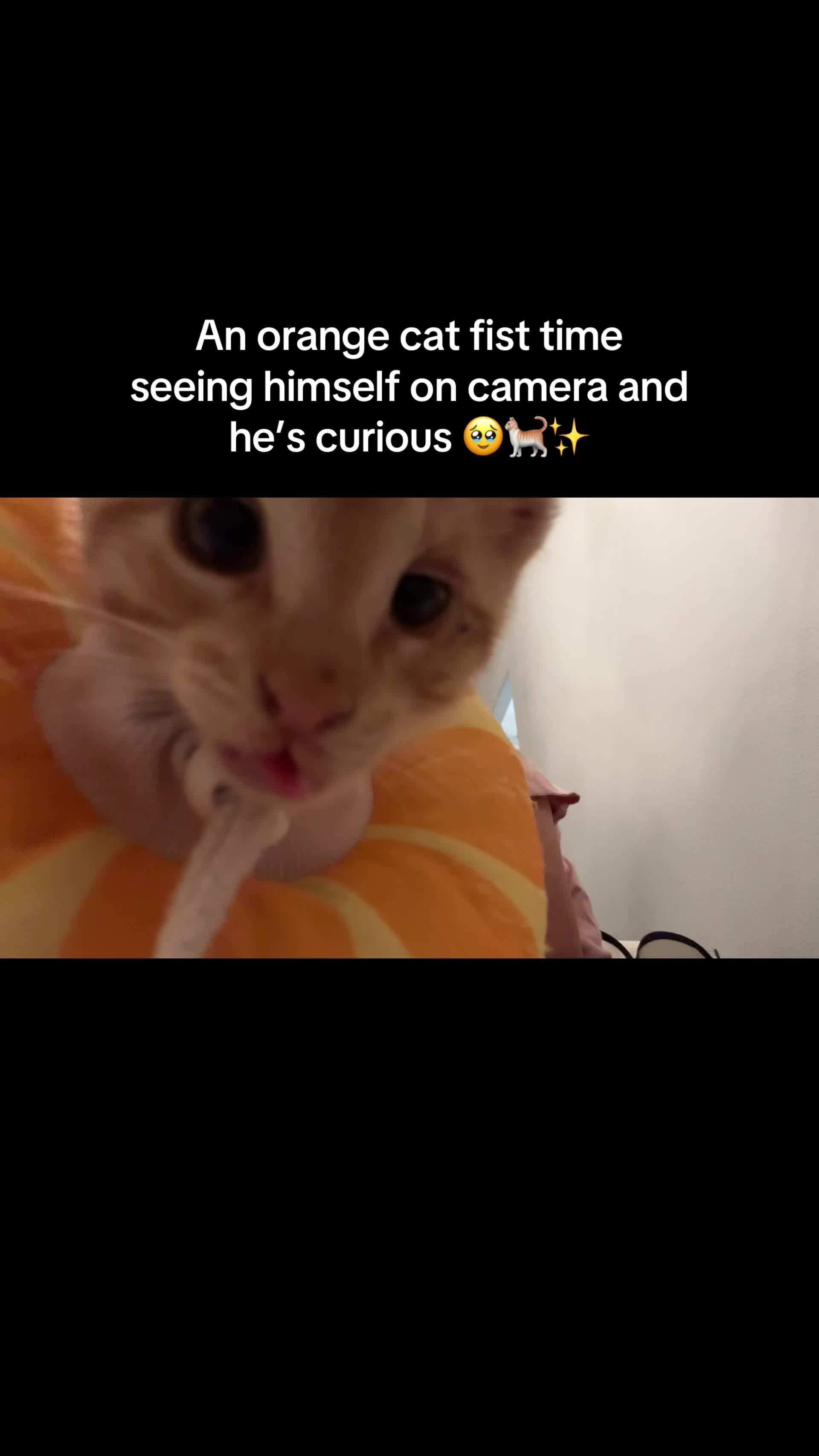@Yaas 🌸