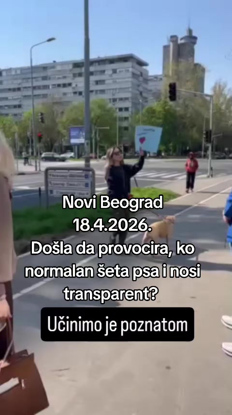 @Marija Popovic3355
