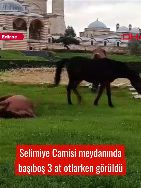 @Demir&ouml;ren Haber Ajansı