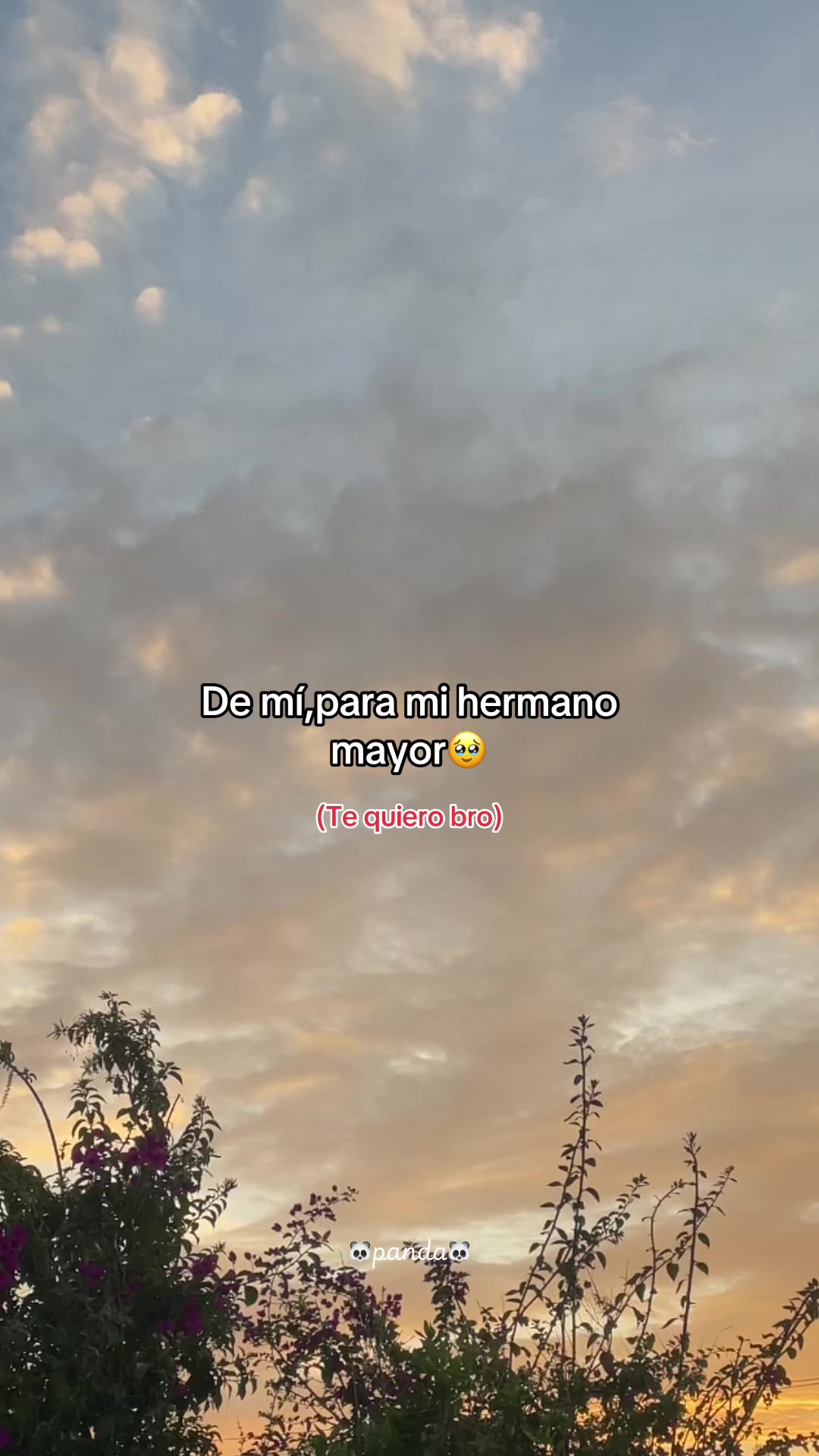 @chica06panda