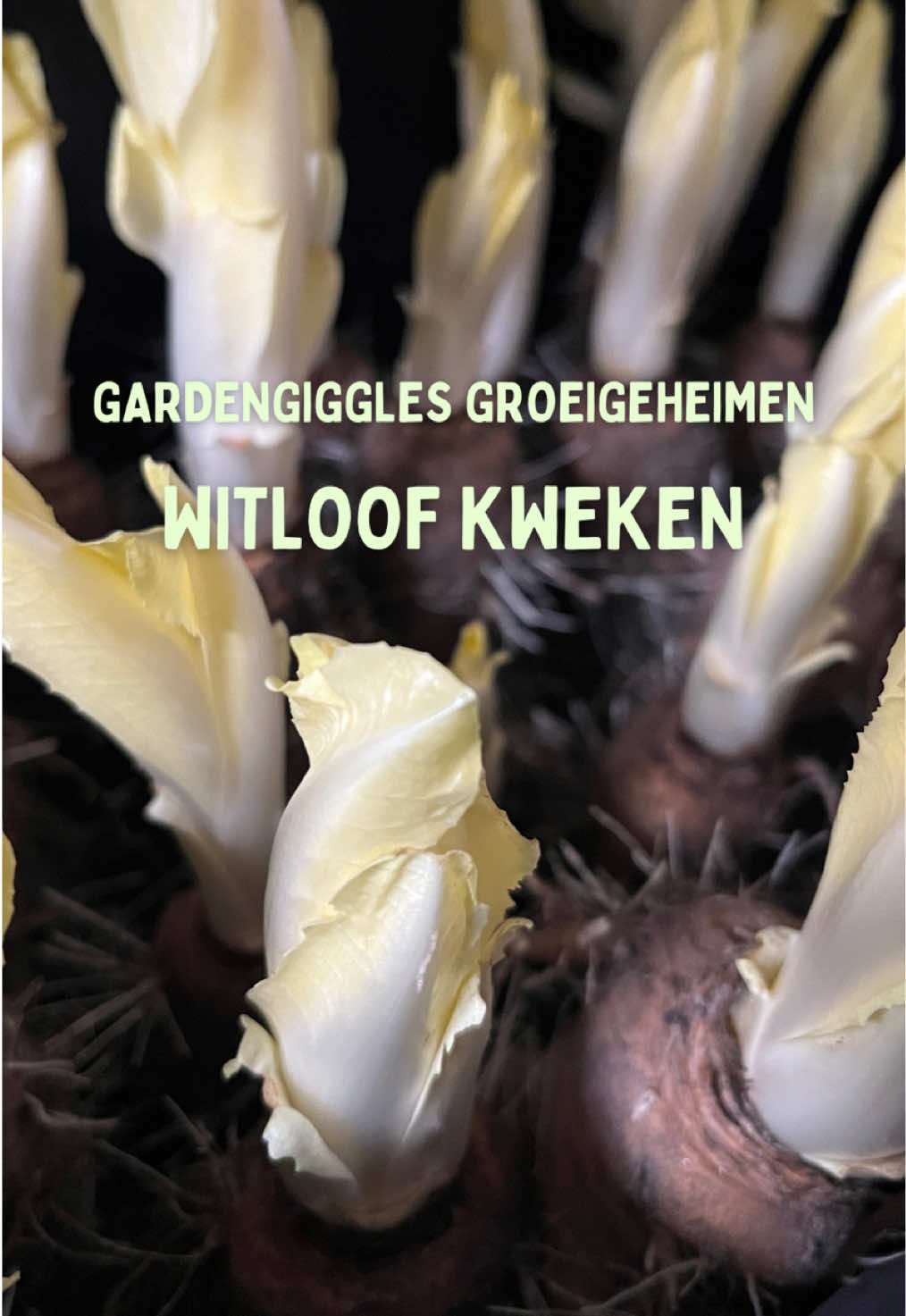 @GardenGiggles.be
