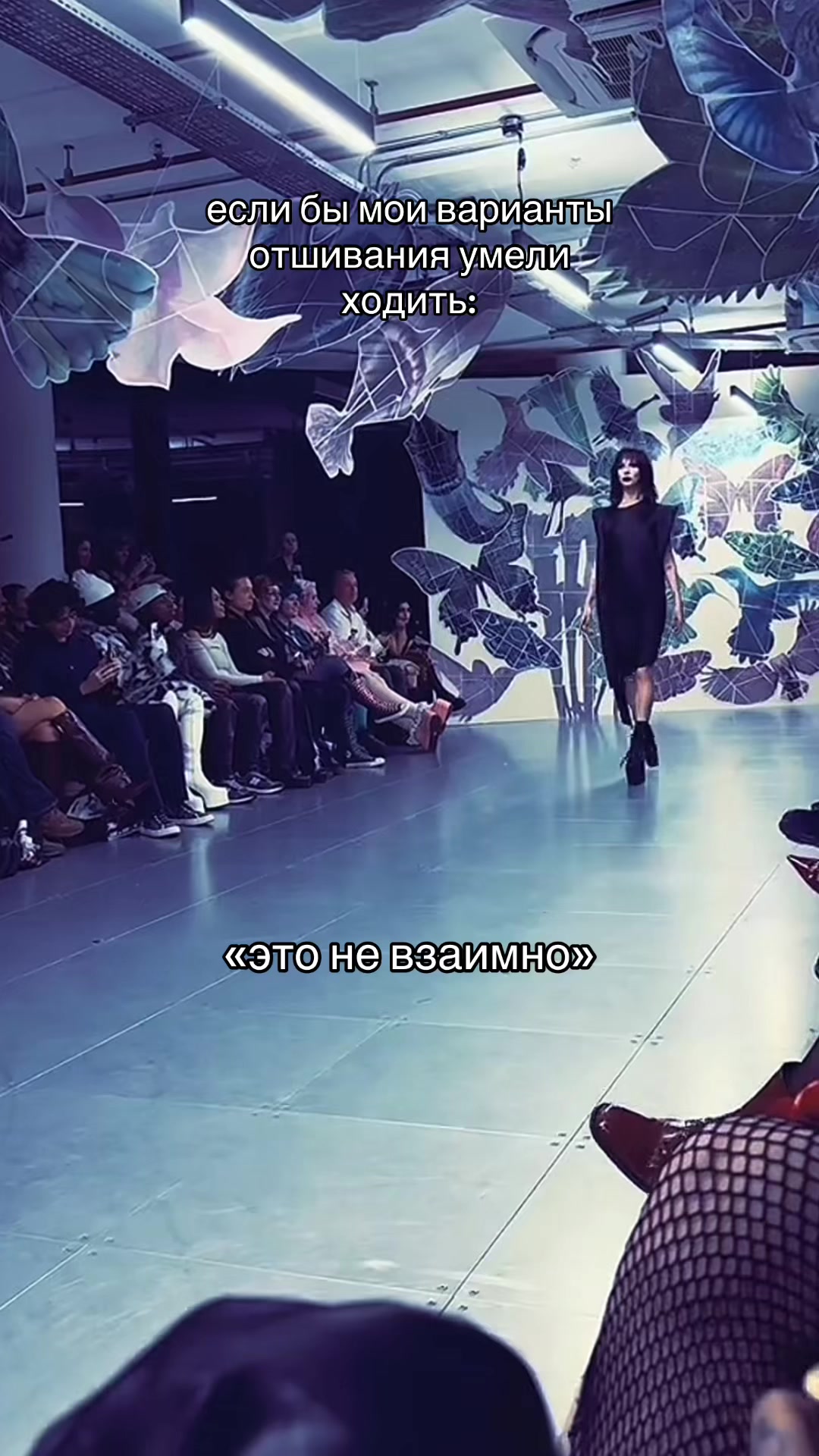 @✧мáрлин-『🇧🇪🇨🇭🇮🇪🇷🇴』✧