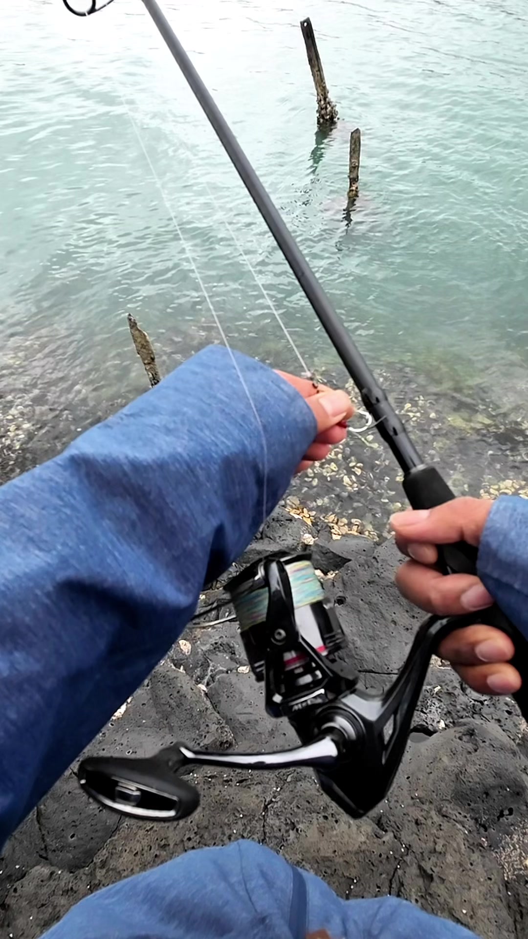 @Taqi Fishing