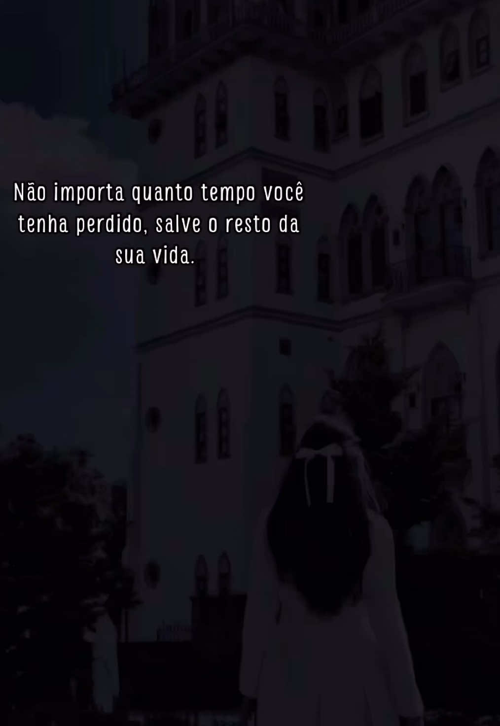@🦋 Alice 🦋