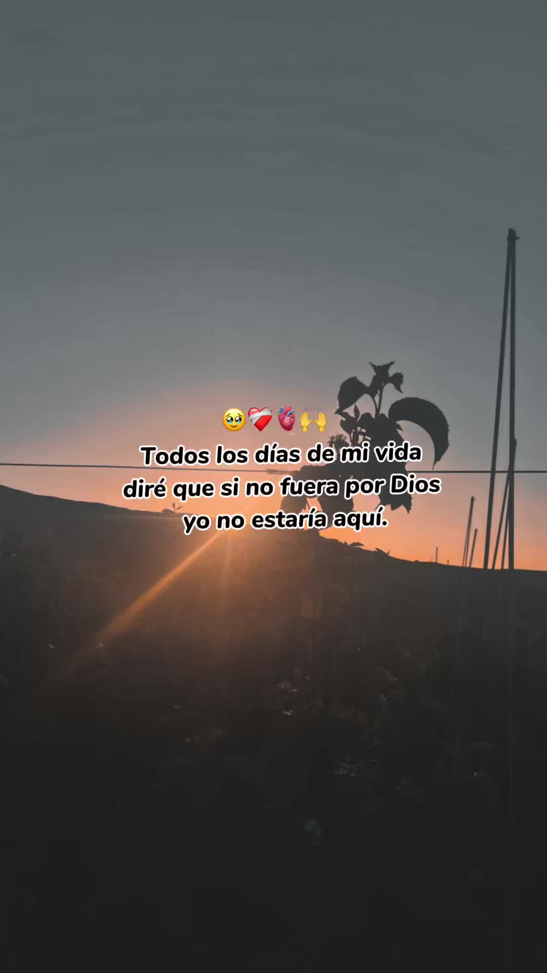 @flaco_S17