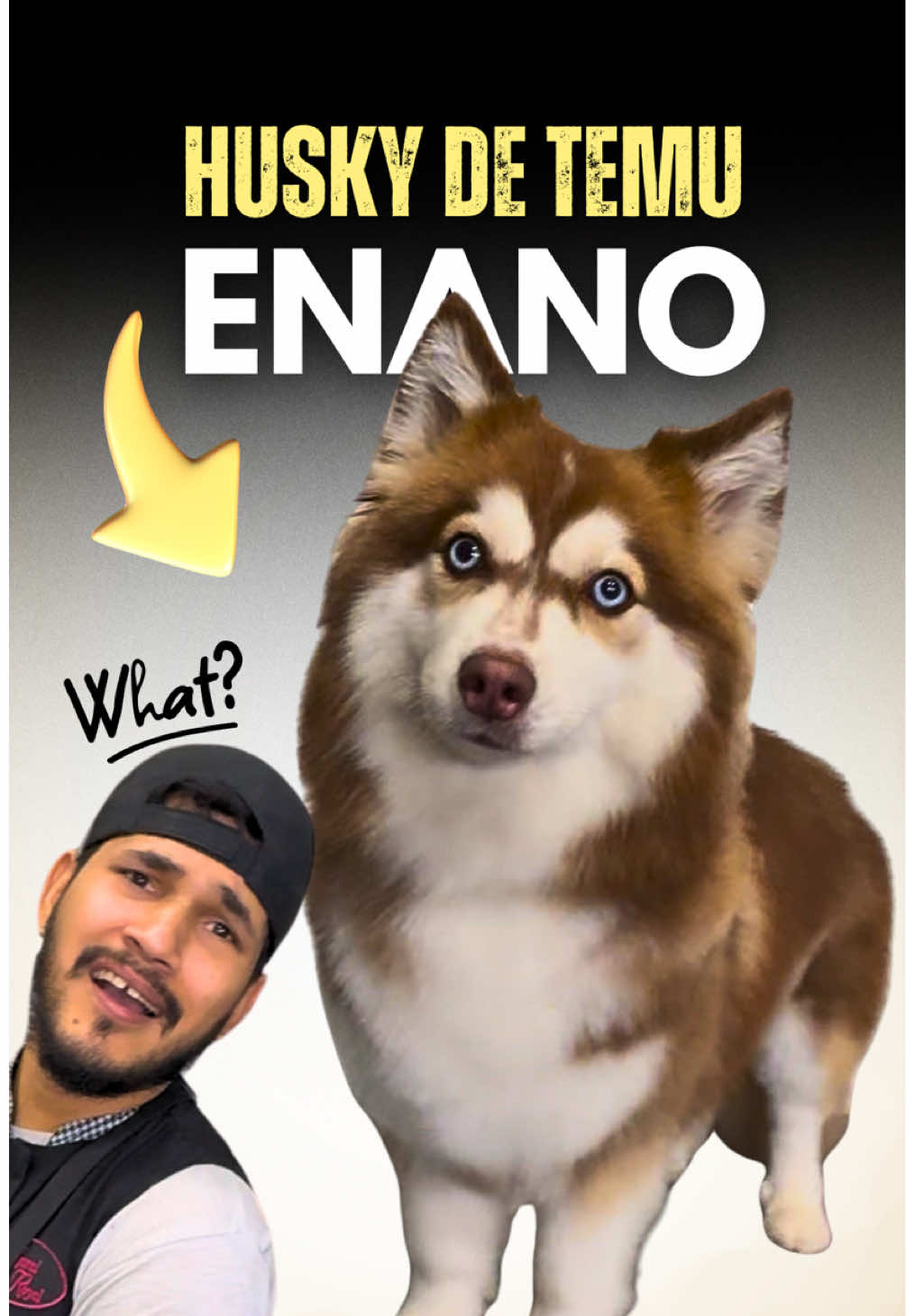 @Victor The Groomer