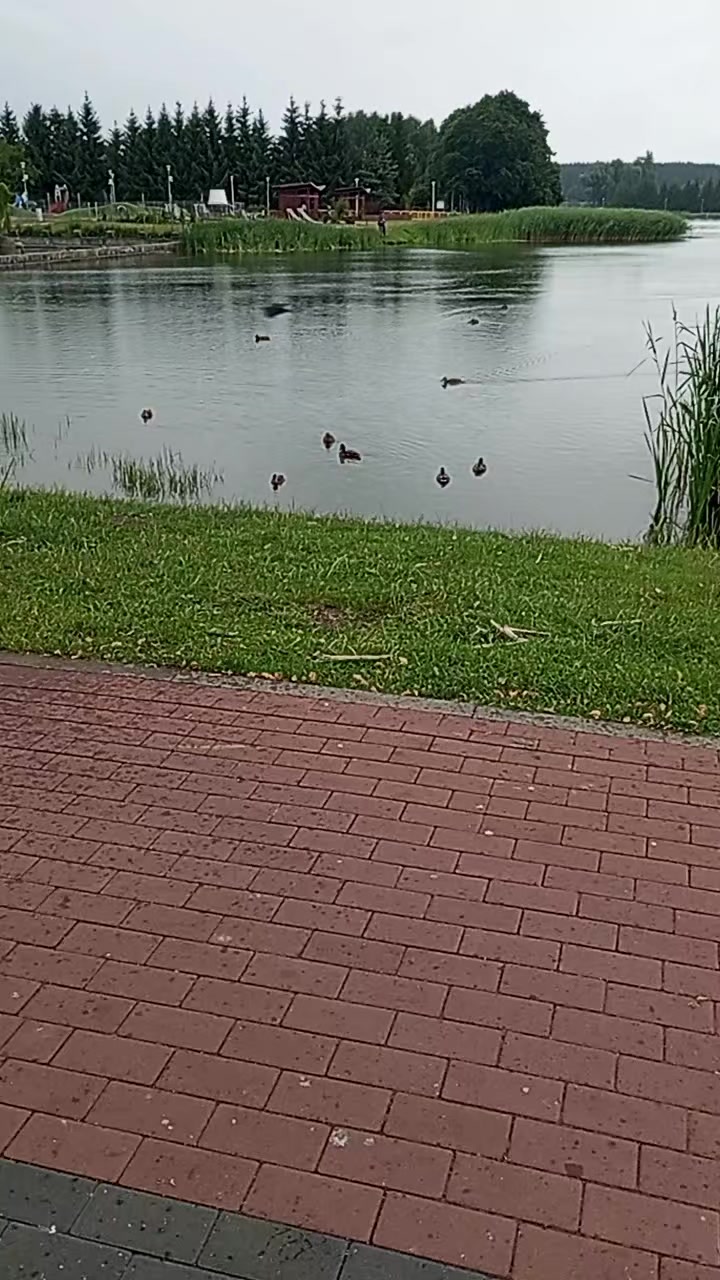 @Ökkeş