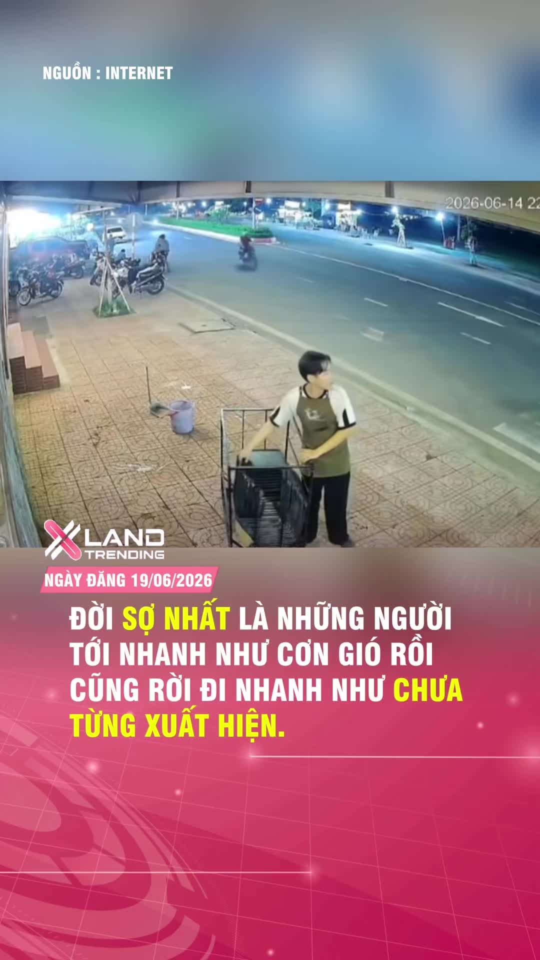 @XLAND TRENDING