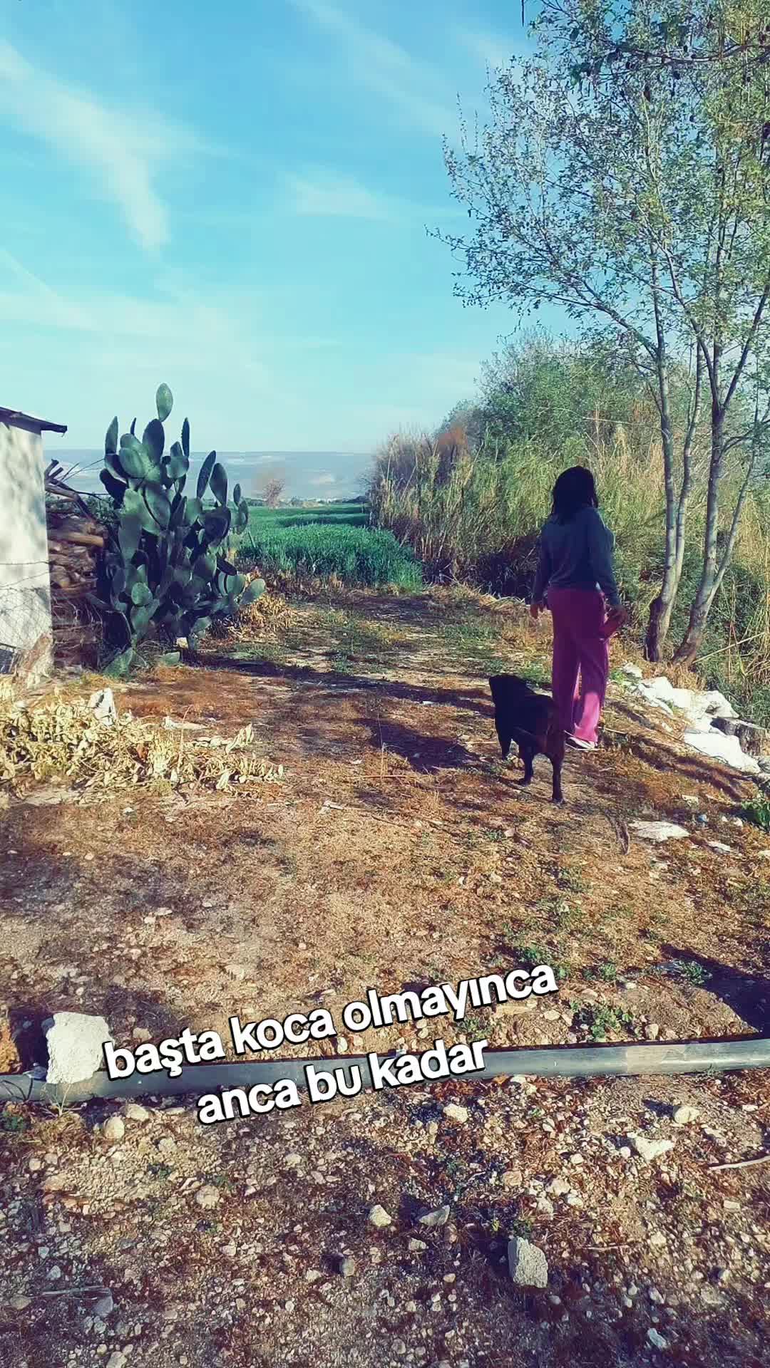@burçin