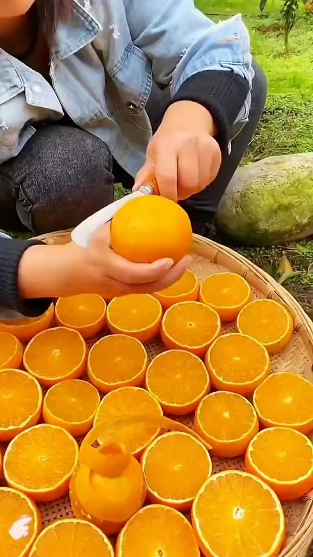 @𝐅𝐫𝐮𝐢𝐭𝐬