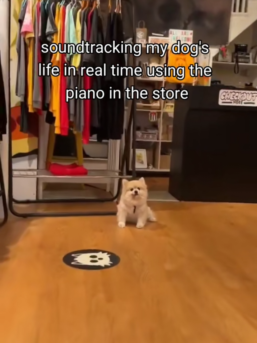 @M U N J O
