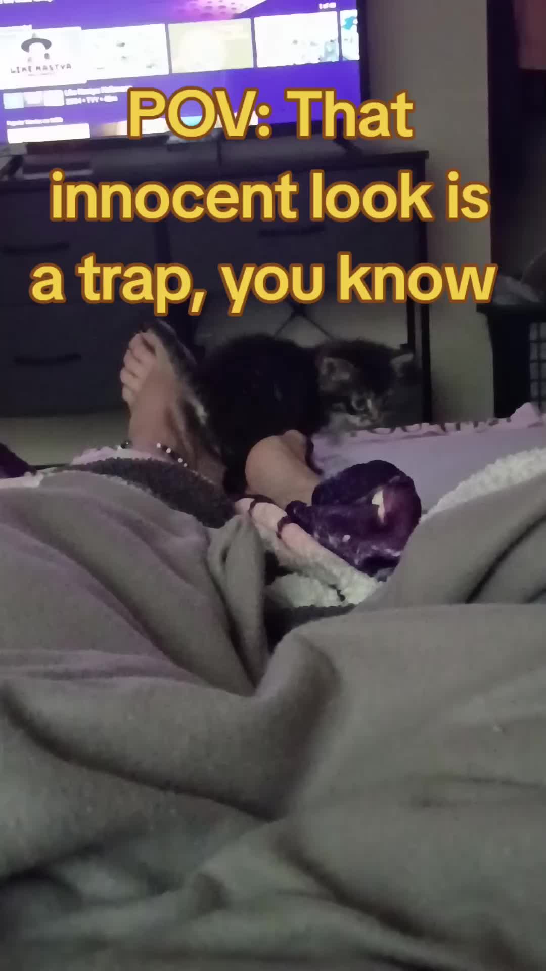 @JinBug