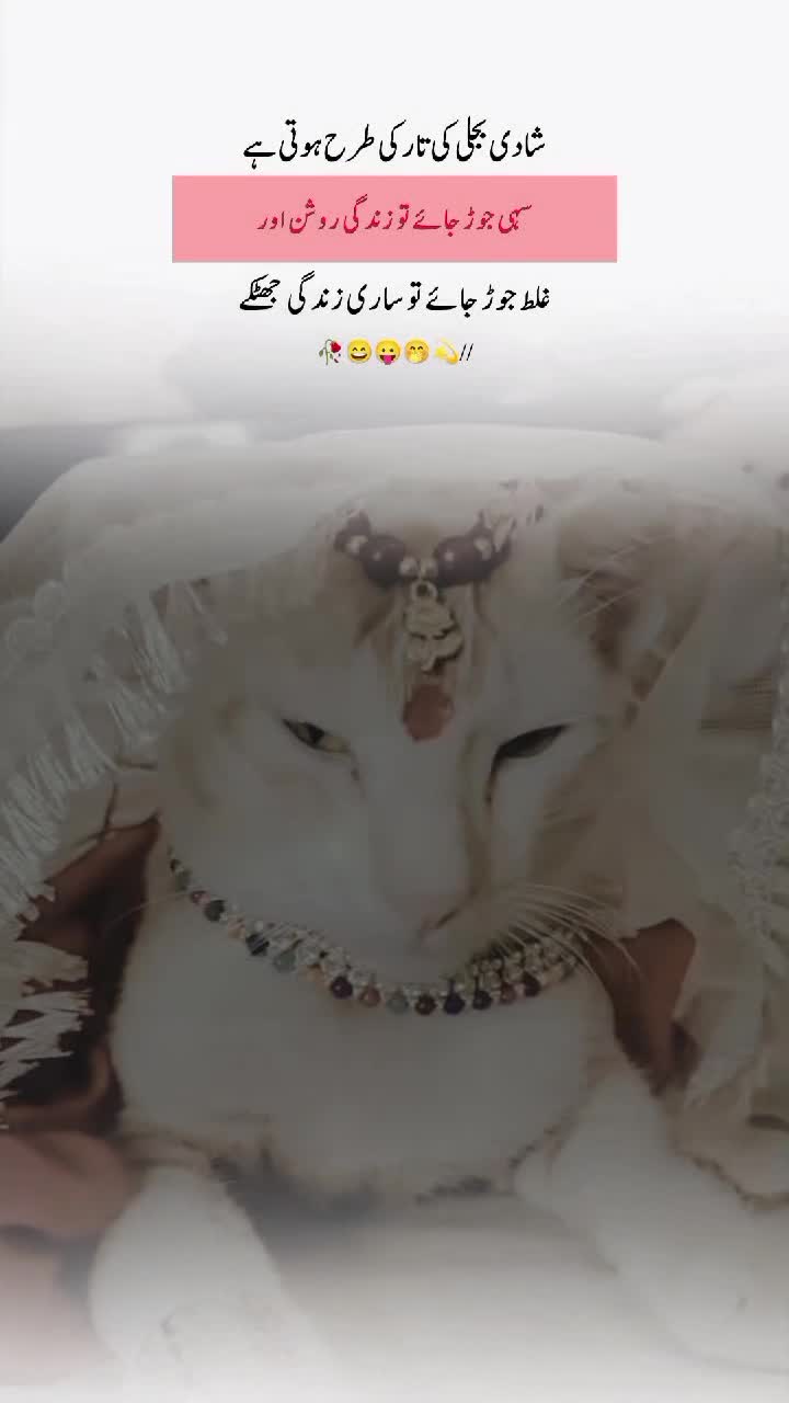 @【𝐌𝐮𝐠𝐡𝐚𝐥 𝐖𝐫𝐢𝐭𝐞𝐬】