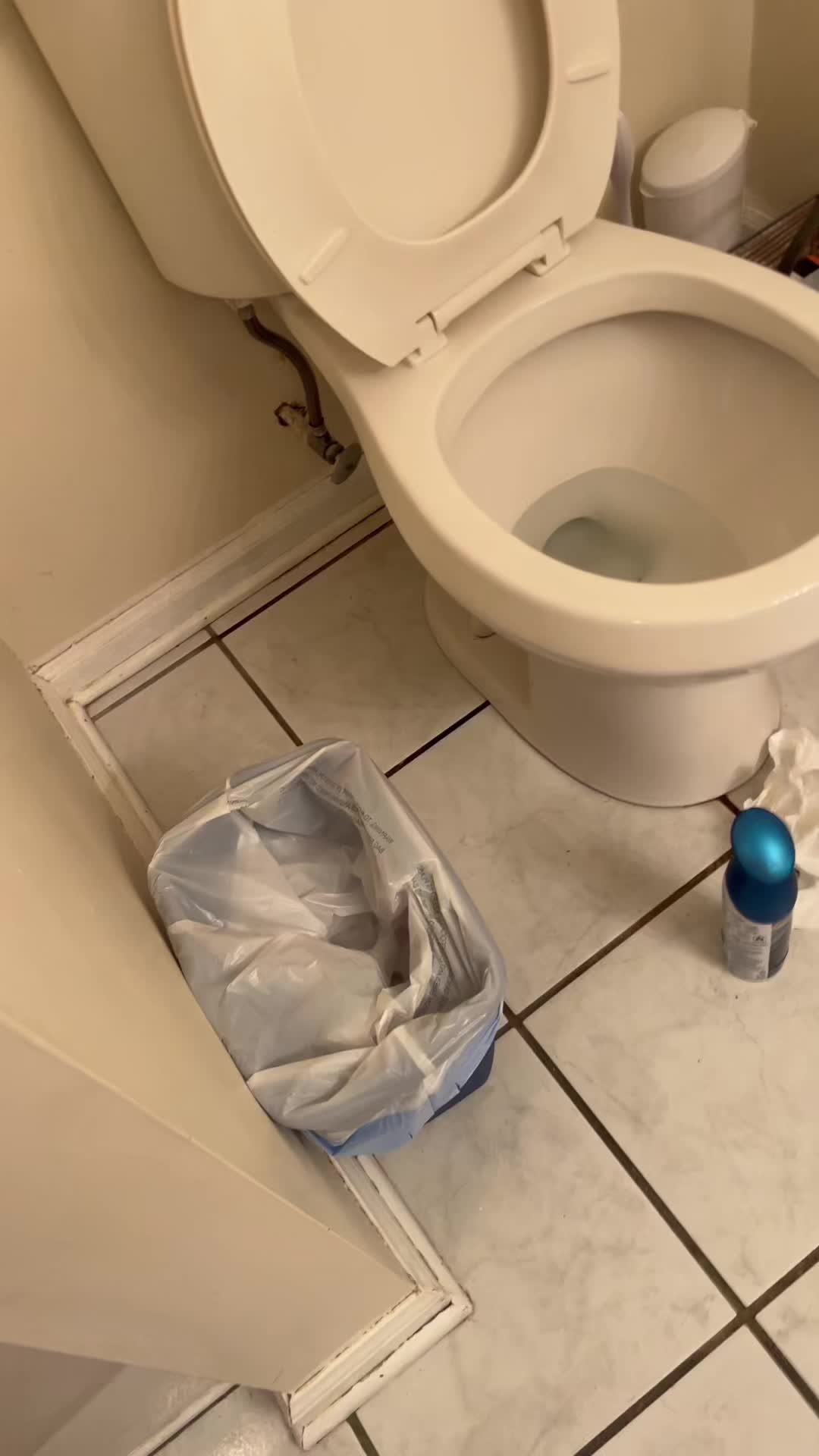 @saberqueentiger