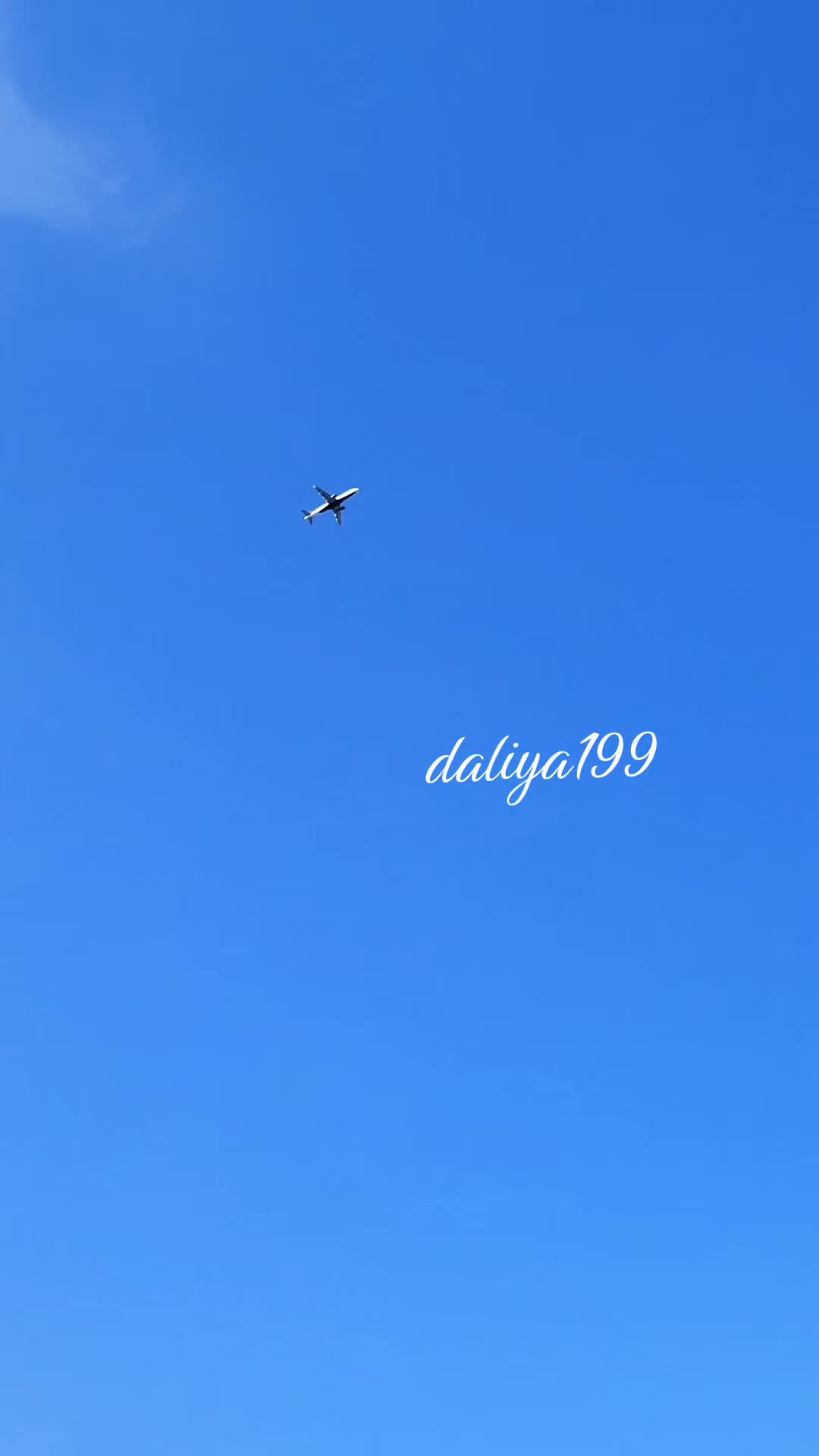 @Daliya199_USA🇺🇸