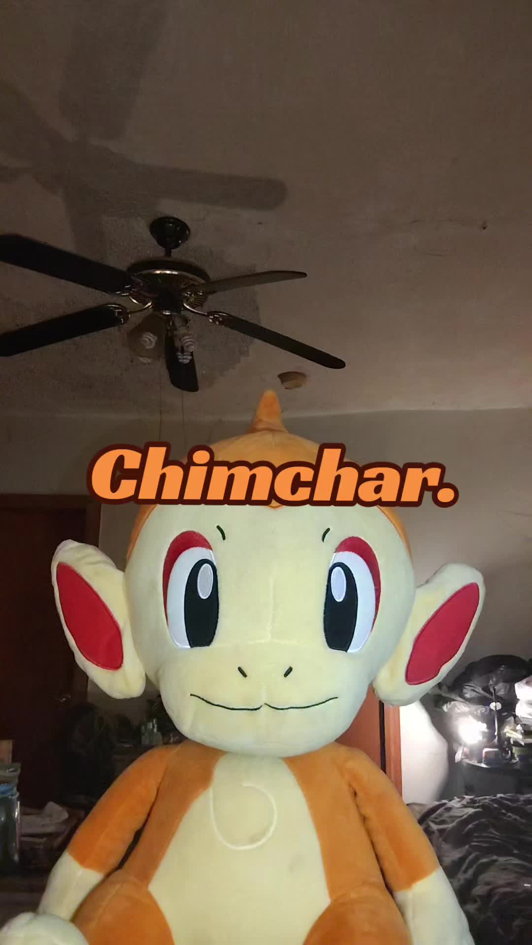 @The Black Pokémon Master