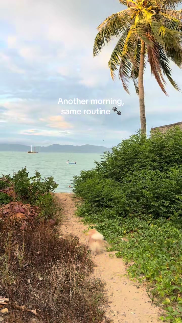 @KSU SAMUI 🌴
