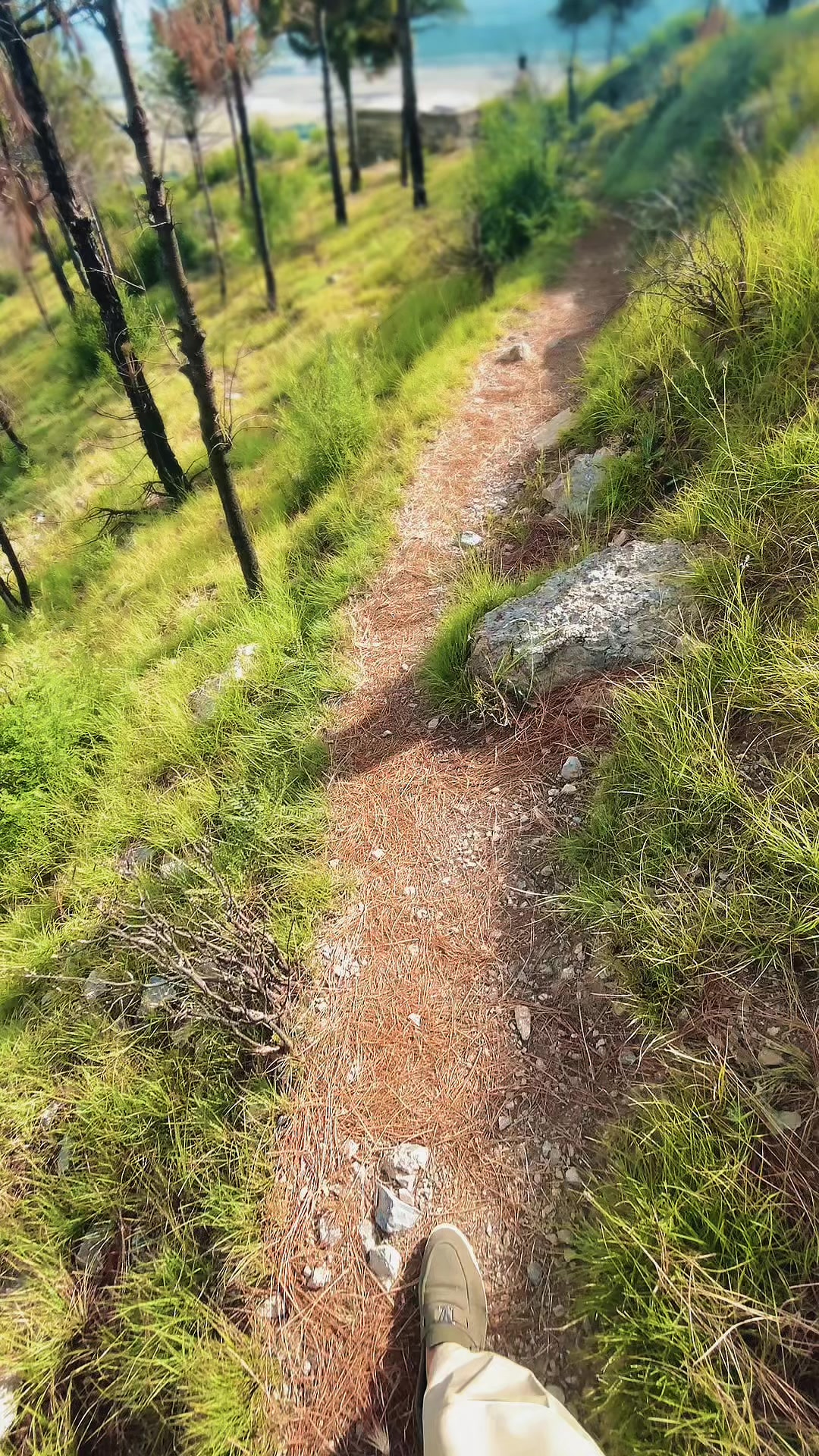 @𓆩𝐘 ᴛᴜʀɪ𓆪✪