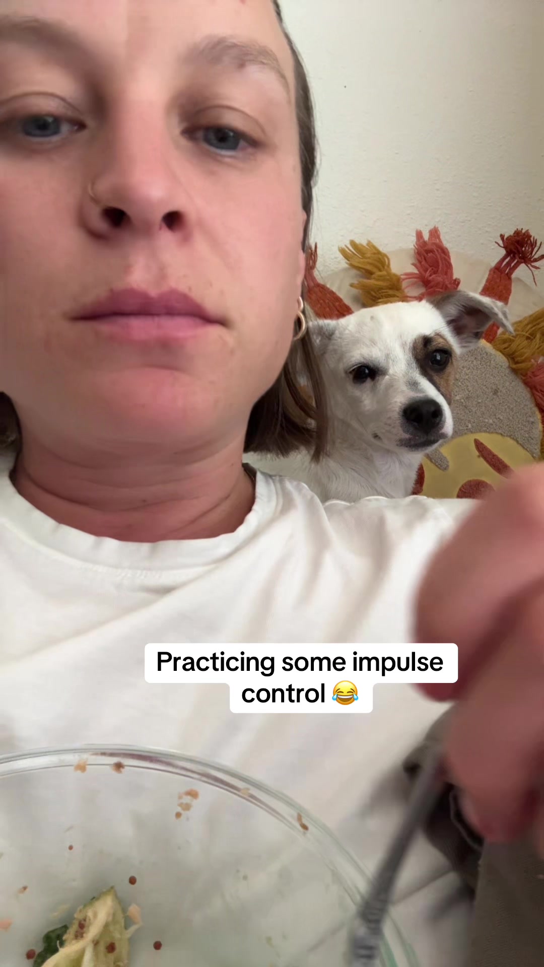 @slowdayzwithdogs